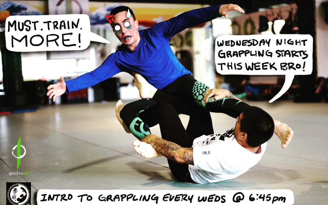 Wednesday Evening Grappling and Brazilian Jiu-Jitsu